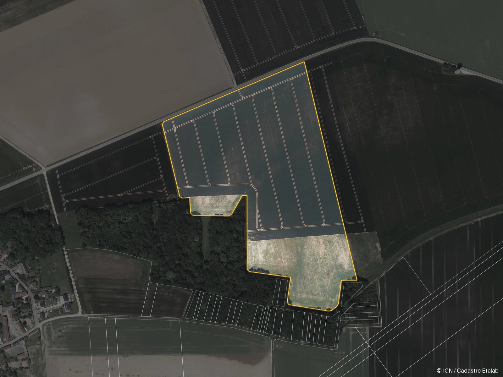 Dense segmentation